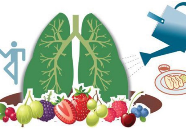 保健食品養命先養肺，肺好百病消！